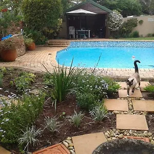 calico-guest-house.port-elizabeth-hotel.com/